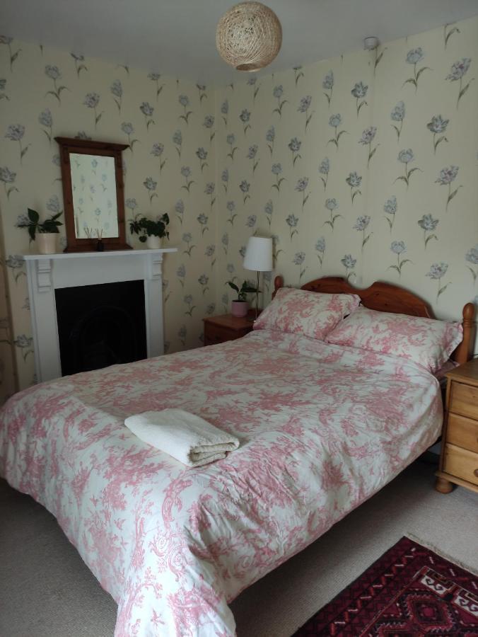 Adail Cottage Aberystwyth Exterior photo